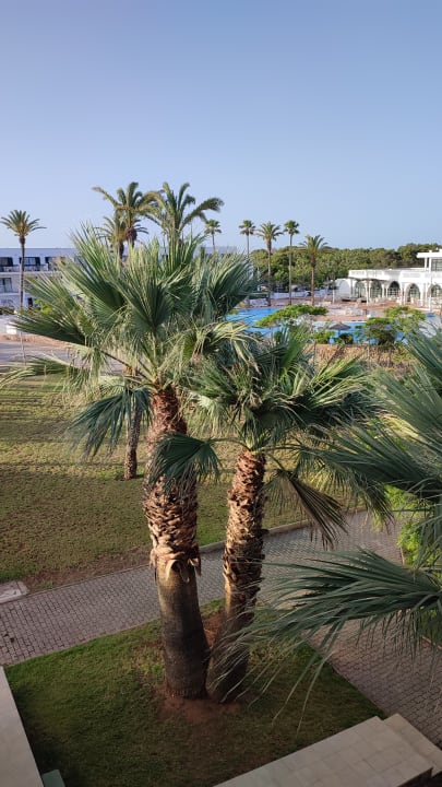Ausblick Grupotel Mar de Menorca