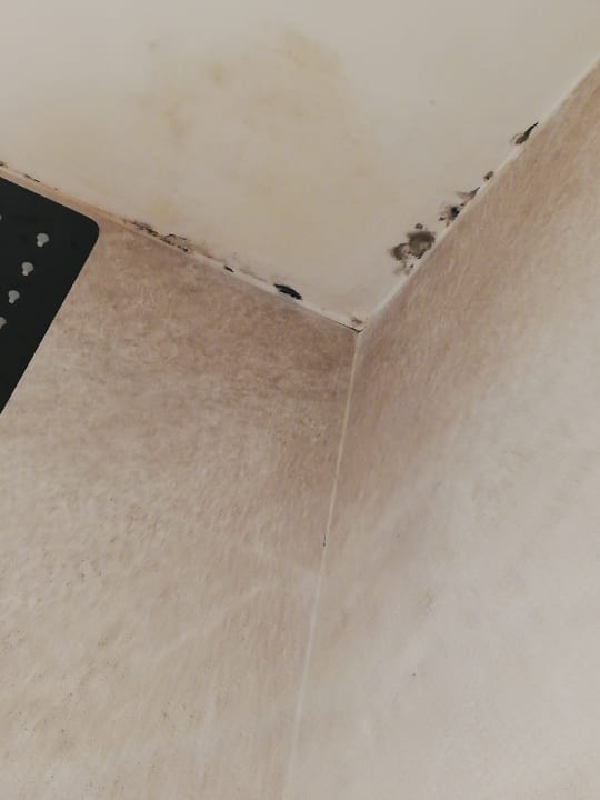 Zimmer TUI BLUE Tamala