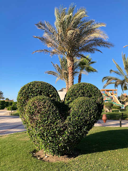 Gartenanlage Malikia Resort Abu Dabbab