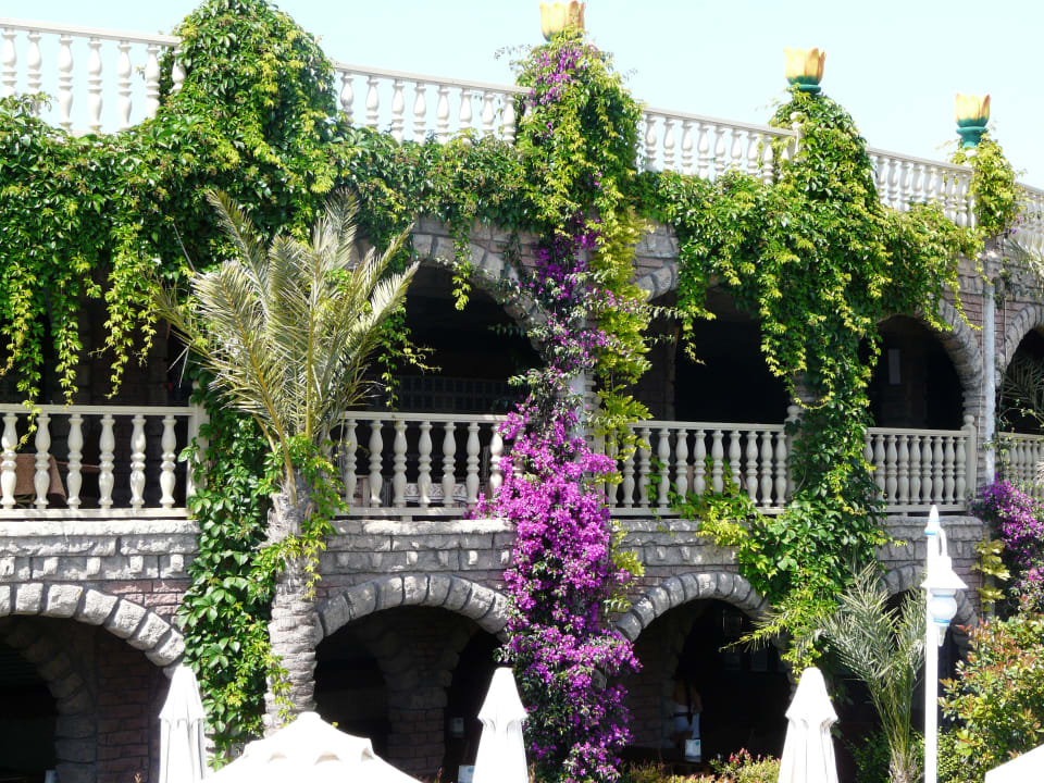 Amfi Theater Royal Holiday Palace