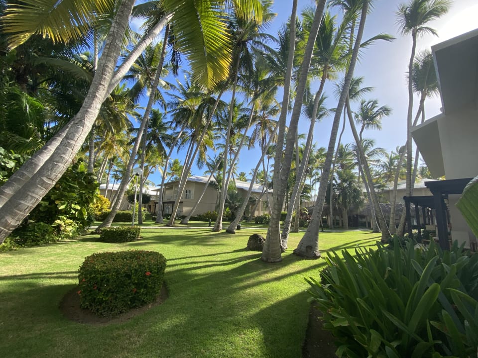 Gartenanlage Hotel Grand Palladium Palace Resort, Spa & Casino