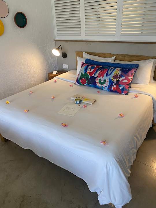 Zimmer Zilwa Attitude