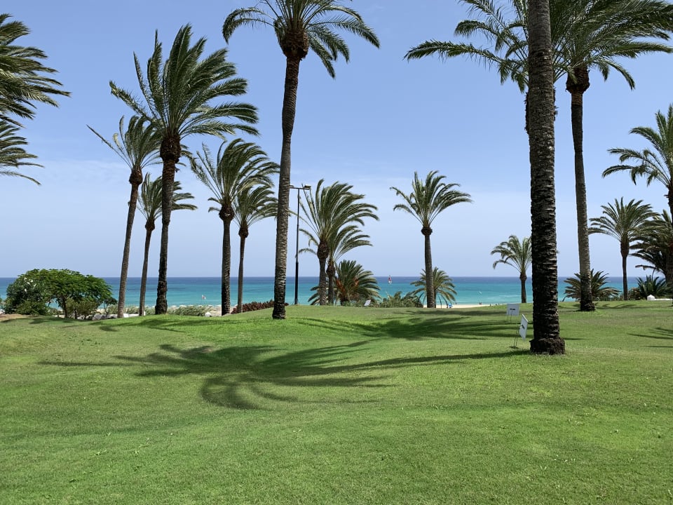 Garten SBH Hotel Costa Calma Palace