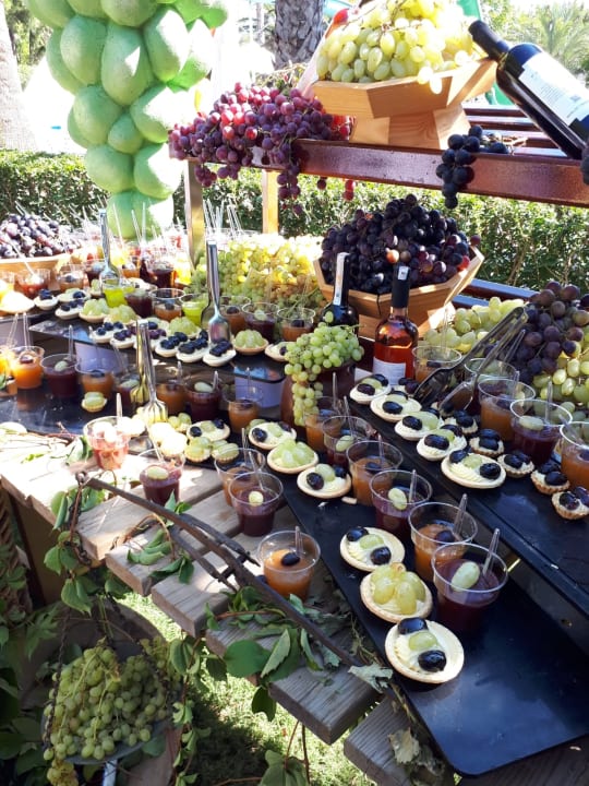 Gastro Paloma Oceana