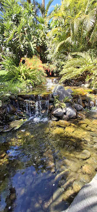 Gartenanlage allsun Hotel Lucana