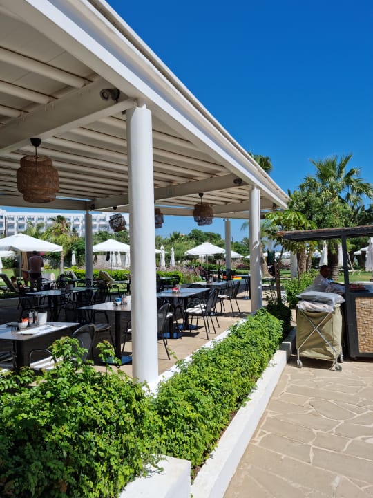 Gastro Crystal Springs Beach Hotel