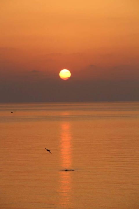 Morgens um 6 Hotel Calypso Beach