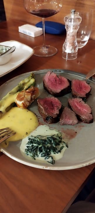 Gastro Acanthus Cennet Barut Collection