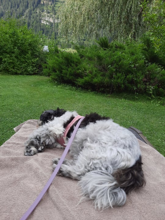 Gartenanlage Haus am See