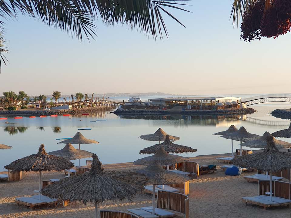 Sonstiges Desert Rose