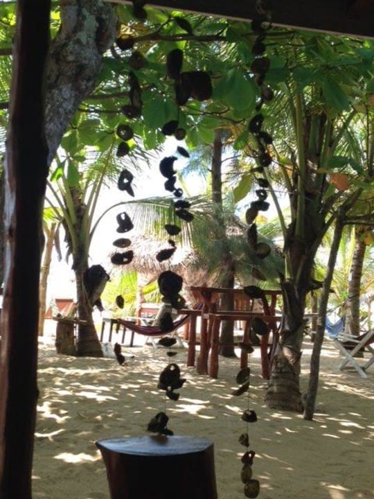 Garten mit vielen Sitzgelegenheiten Ibis Guesthouse