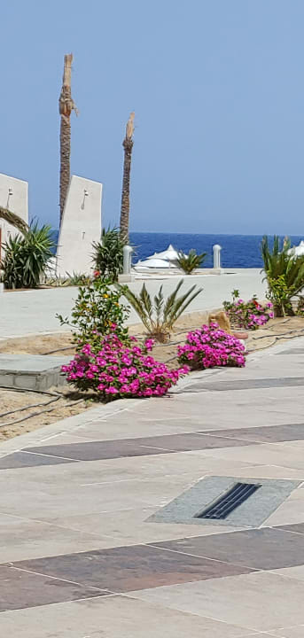 Garten Pickalbatros Sea World Resort - Marsa Alam