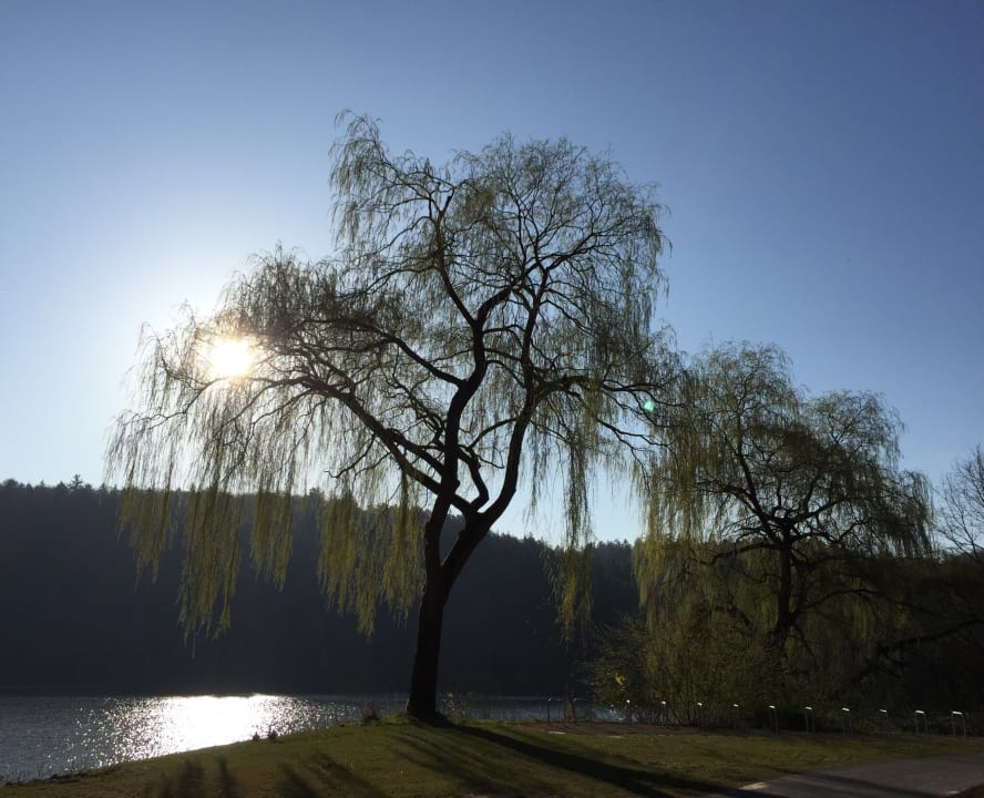 Strand Welcome Hotel Bad Arolsen