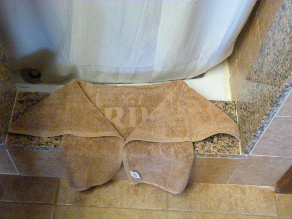 Deko Dusche Hotel Riu Karamboa