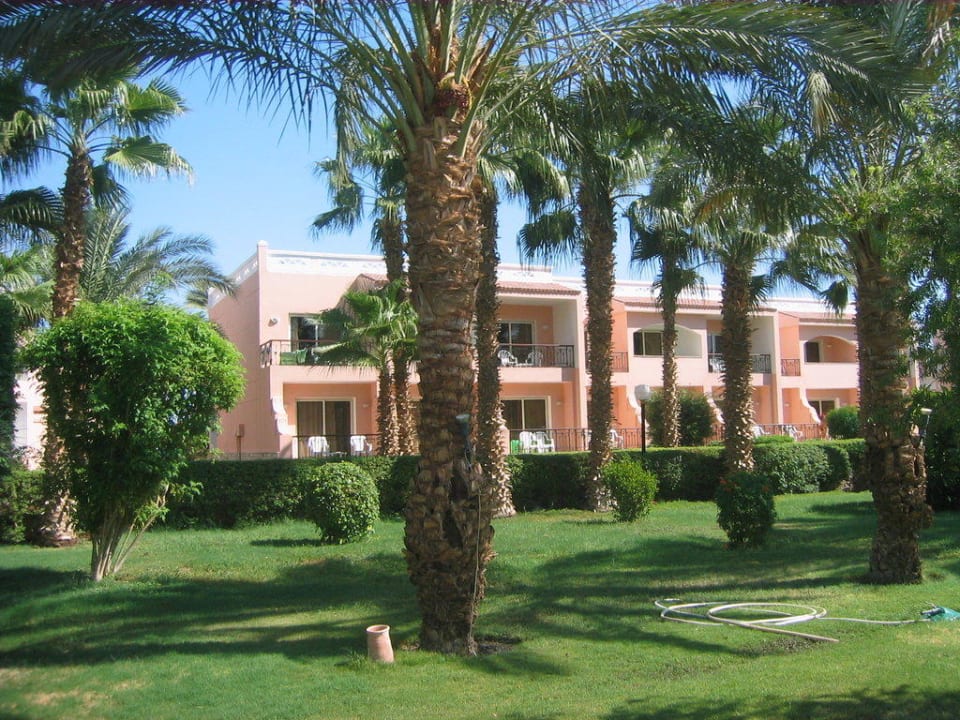Gartenanlage Beach Albatros Resort