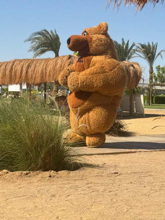 Strand Steigenberger Resort Ras Soma