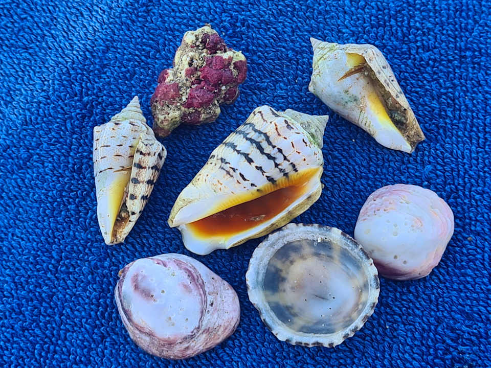 Strand Pickalbatros Villaggio Resort - Portofino