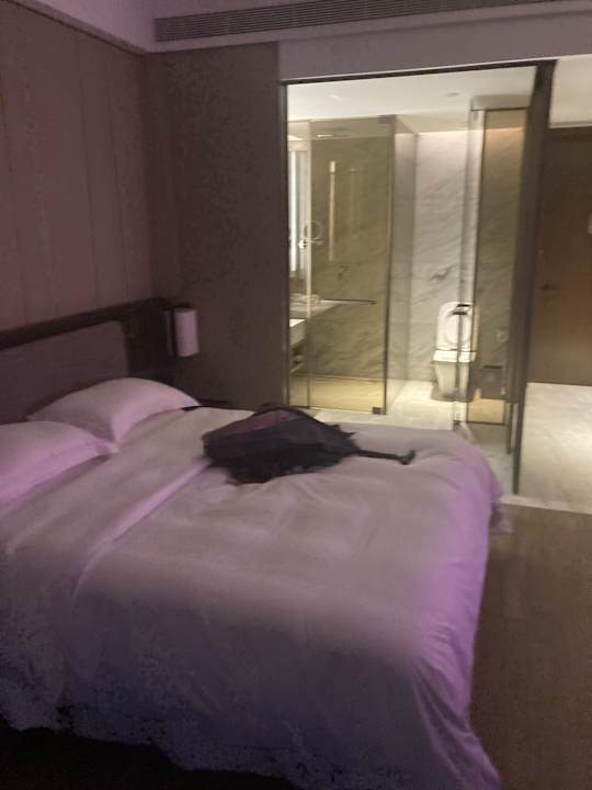 Zimmer Wyndham Grand Lishui Downtown