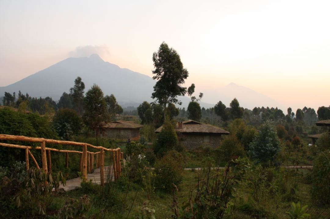 Überblick Lodgeanlage Gorilla Montain View Lodge