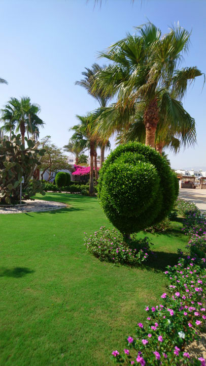 Gartenanlage Sharm Club Beach Resort