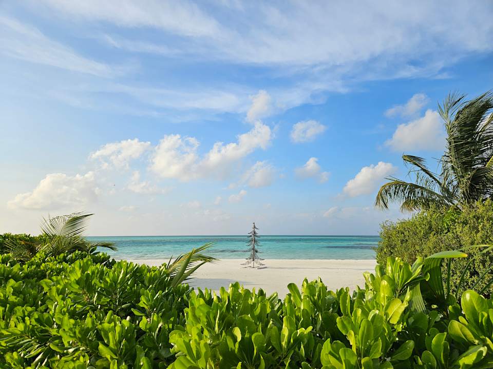 Strand Cinnamon Hakuraa Huraa Maldives
