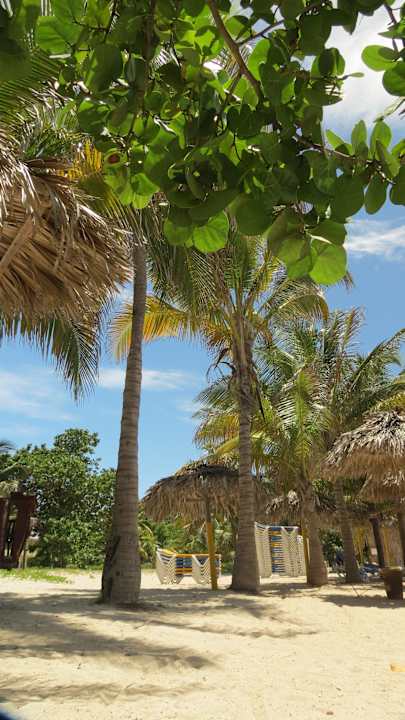 Beach umbrellas, and sunbeds Hotel Roc Barlovento