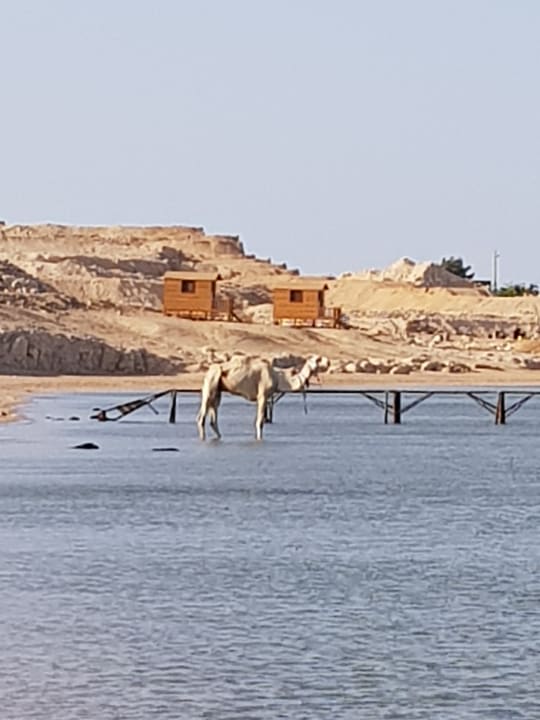 Nachbargrundstück JAZ Belvedere Resort