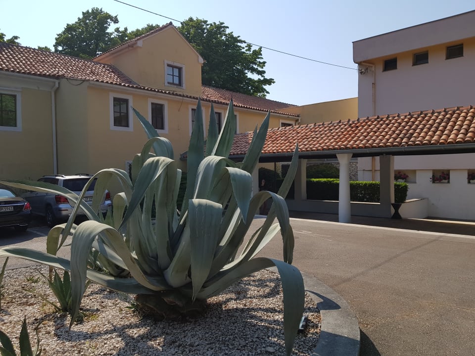 Außenansicht Falkensteiner Hotel Adriana