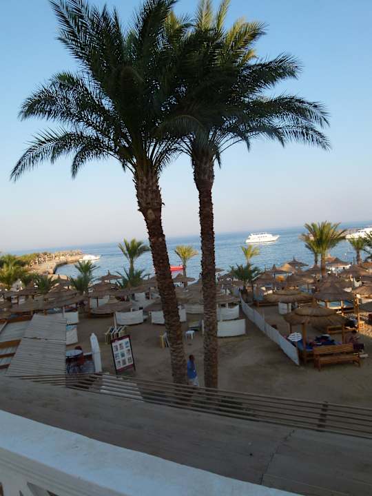 Blick auf das Meer Beach Albatros Resort