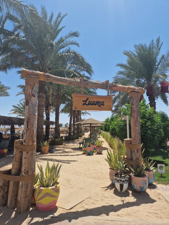 Gastro Fort Arabesque Resort, Spa & Villas