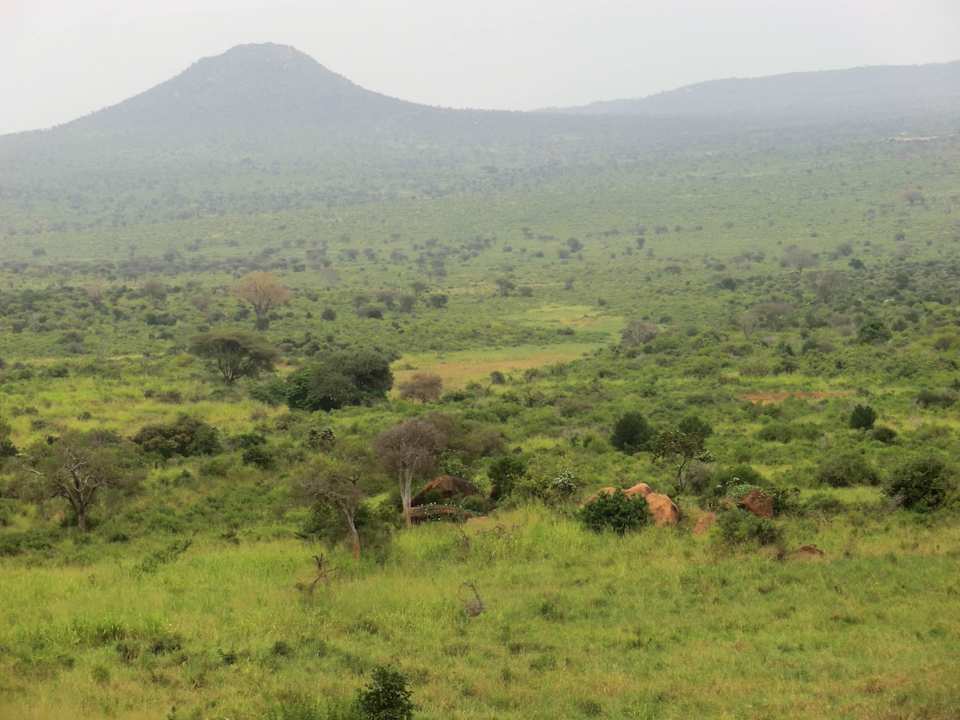 Von der Terrasse Rhino Valley Lodge