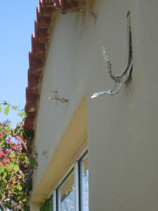 Blick vom Strandrestaurant auf die Wand Sunshine Rhodes