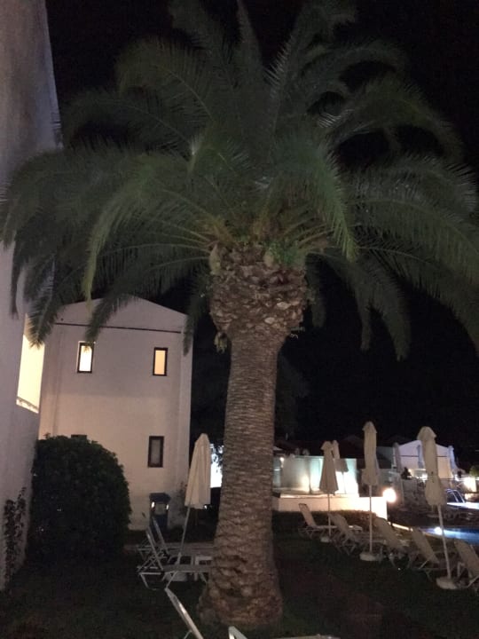 Gartenanlage AluaSoul Zakynthos - Adults only