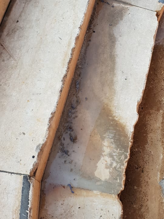 Pool Starlight Resort Hotel