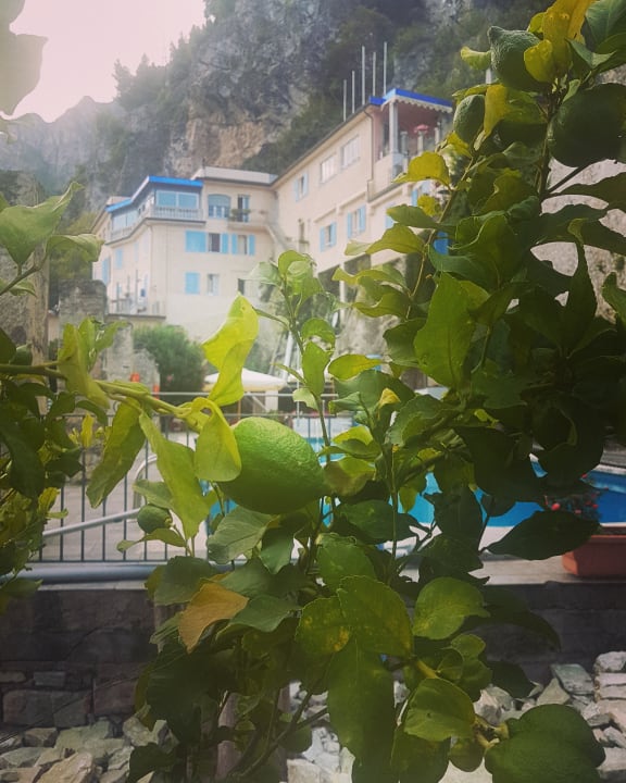 Pool Villa Romantica Beach Resort