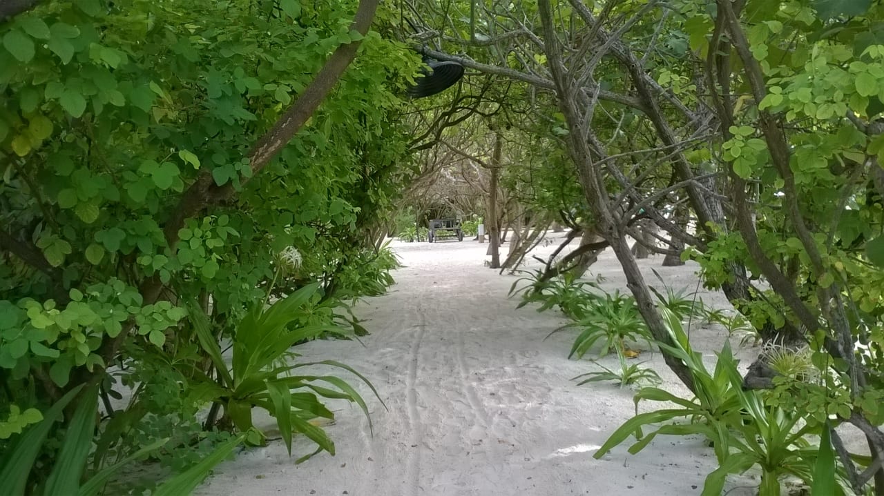 Gartenanlage Summer Island Maldives