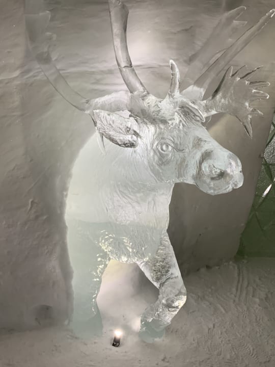 Lobby Lapland Hotels SnowVillage