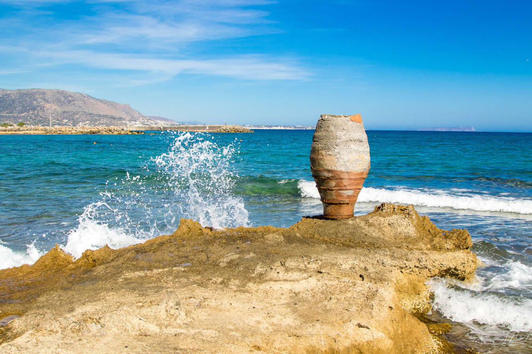 Meerblick allsun Hotel Carolina Mare