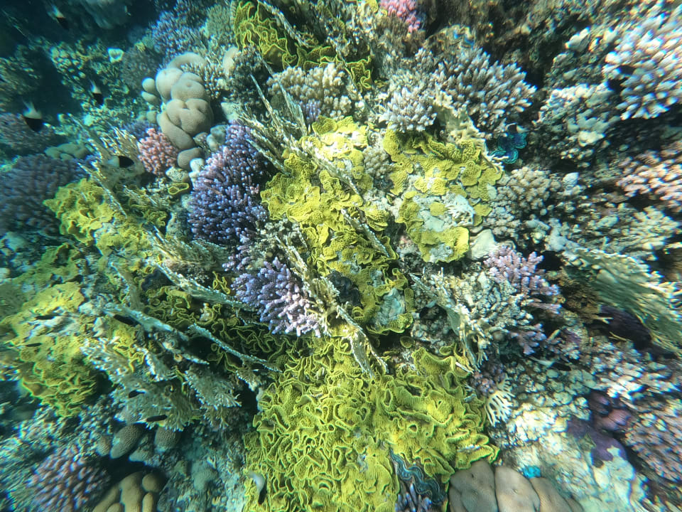 Sport & Freizeit Pickalbatros Villaggio Resort - Portofino