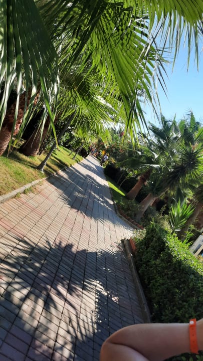 Gartenanlage Seaden Sea Planet Resort & Spa