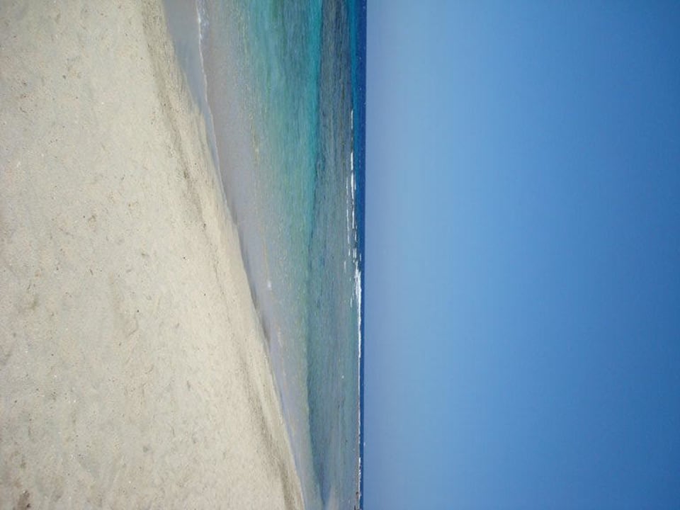 Strand, rechts das Riff Malikia Resort Abu Dabbab