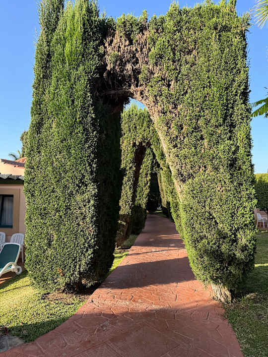 Gartenanlage allsun Hotel Esplendido