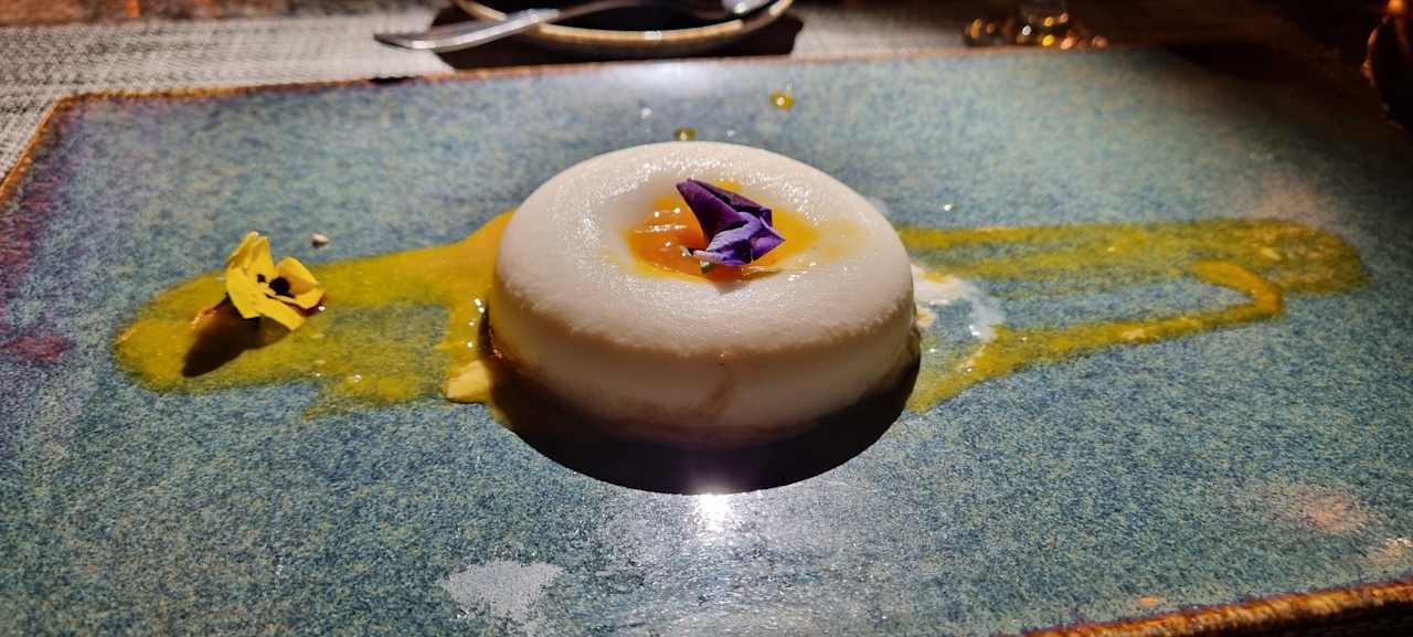 Gastro JAZ Elite Asteria