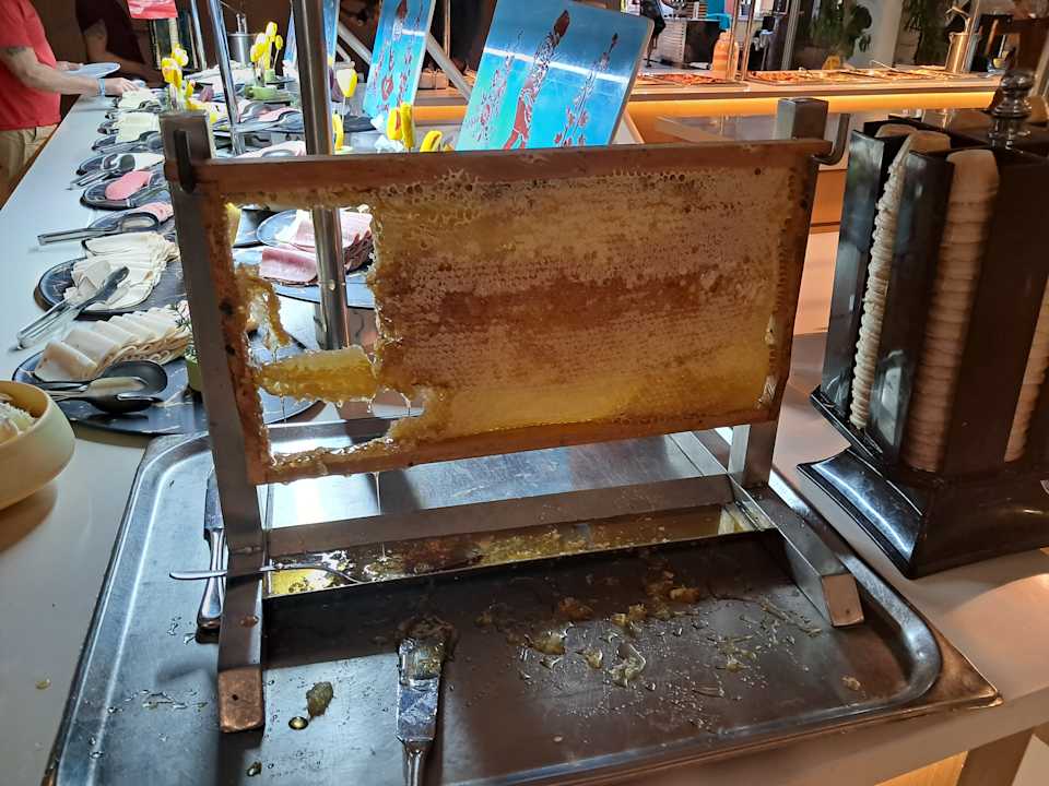 Gastro Blue Waters Club