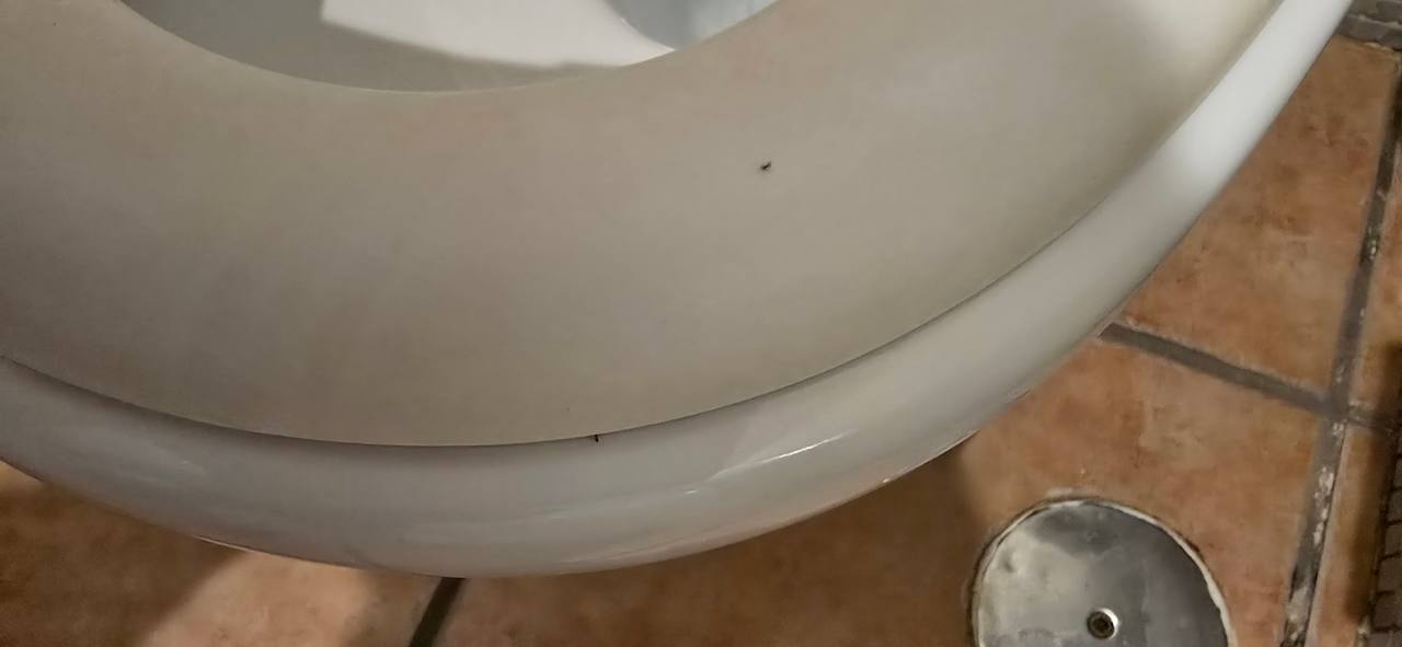 Zimmer SBH Club Paraiso Playa