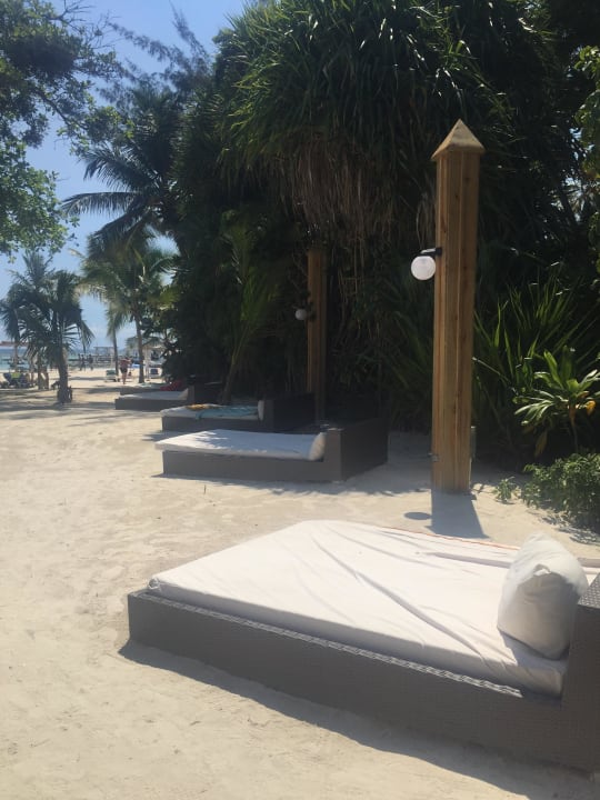 Liegen auf dem Weg zum Strand whala!boca chica