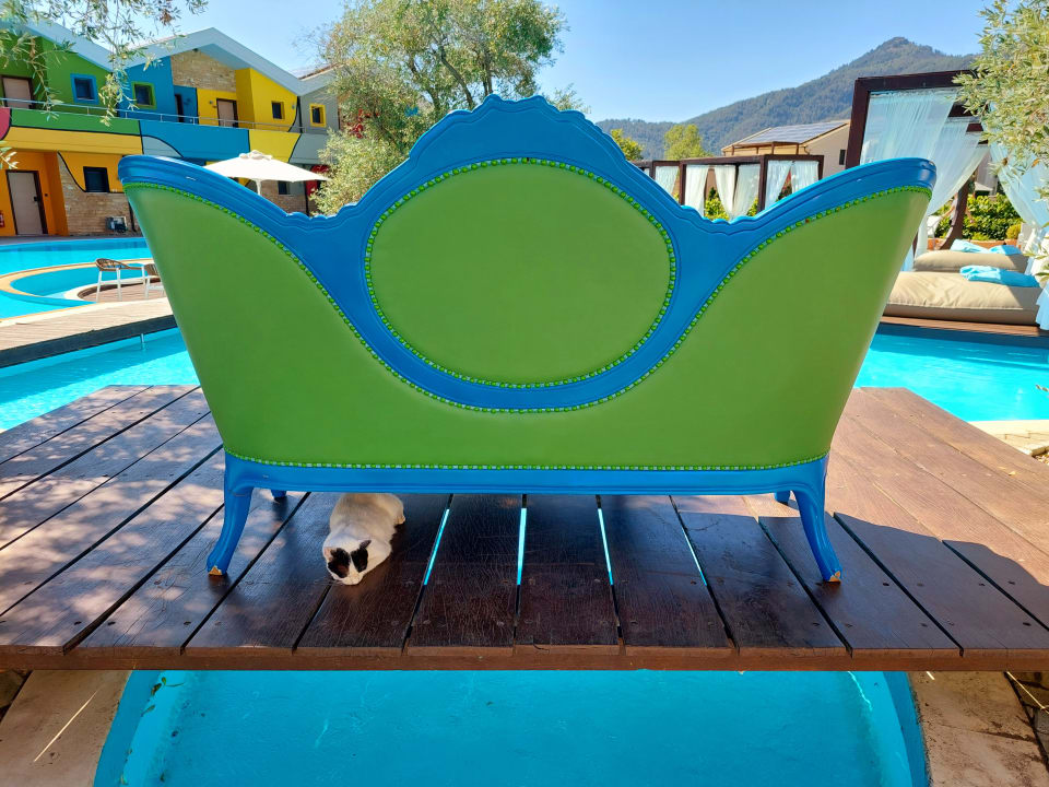 Gartenanlage Alexandra Golden Boutique - Adults only