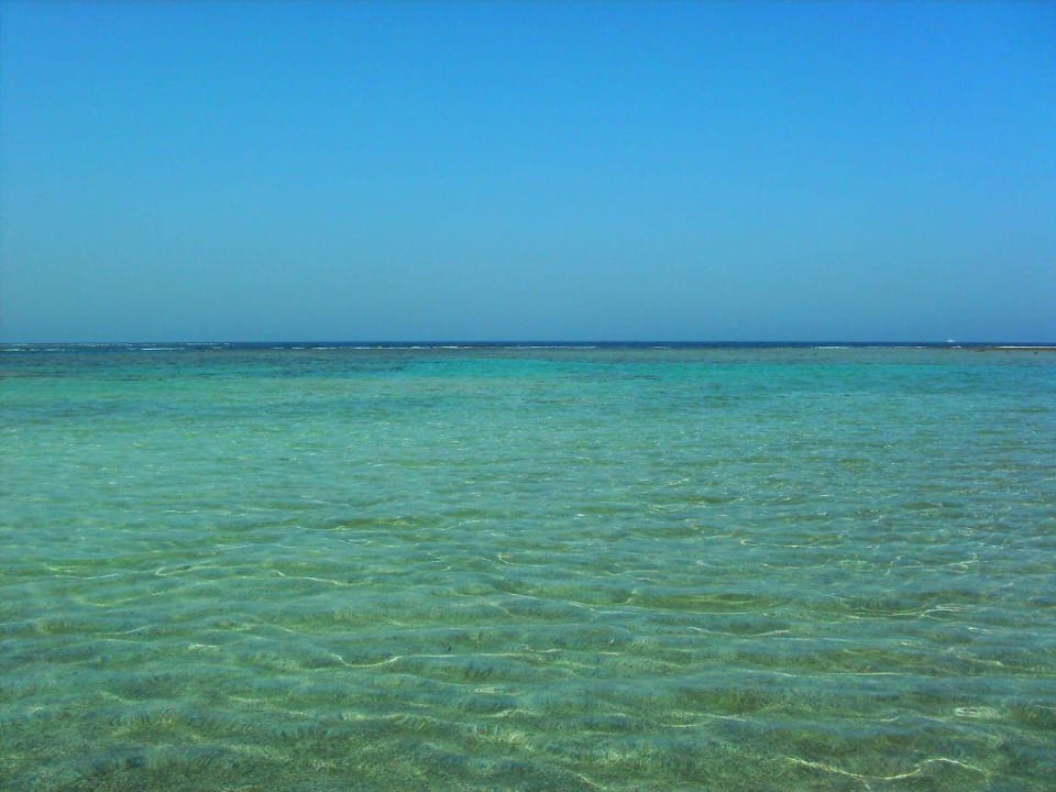 Rotes Meer Utopia Beach Club