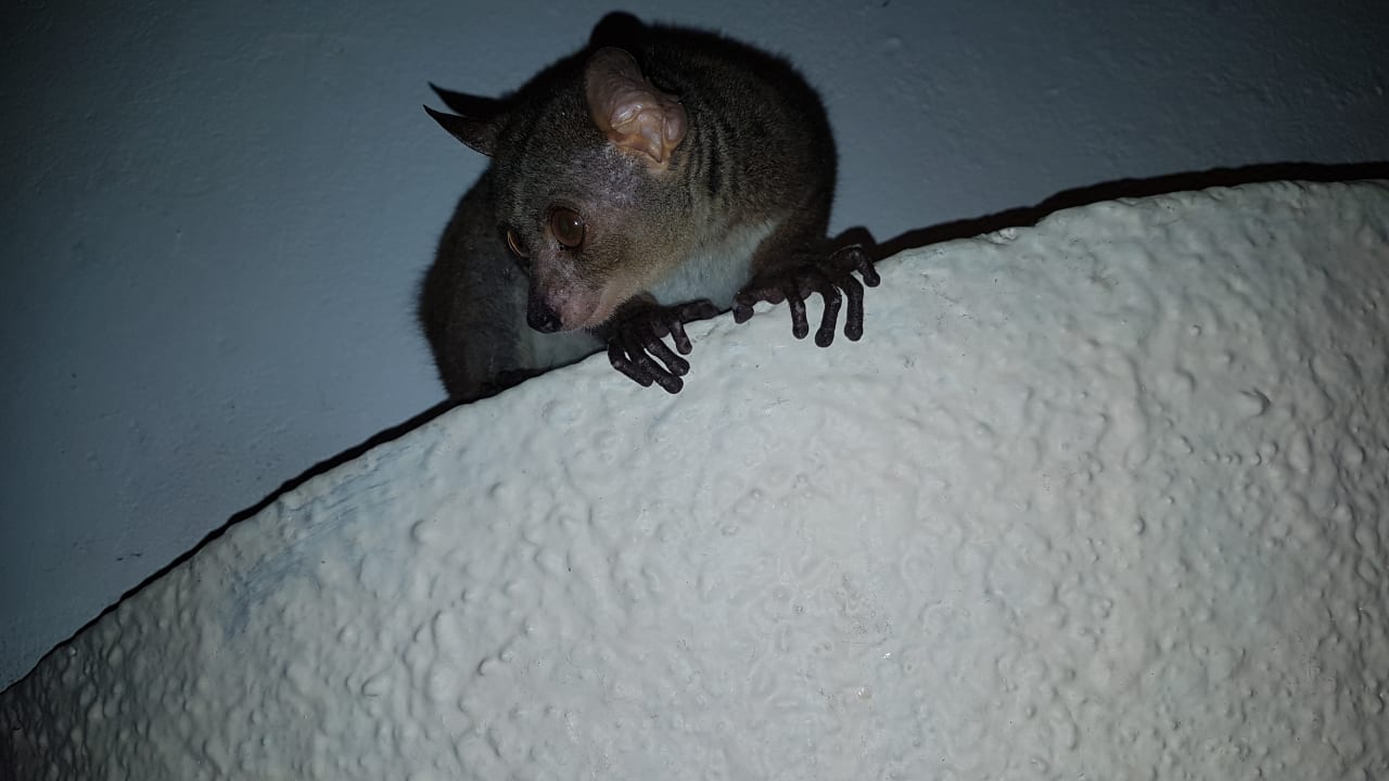 Lobby Hotel Southern Palms Beach Resort