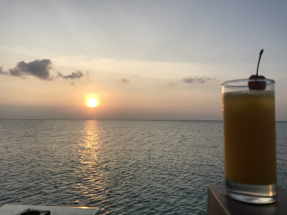 Gastro Summer Island Maldives